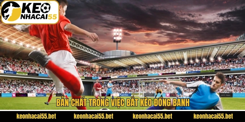 Tìm hiểu sơ lược về việc bắt kèo đồng banh