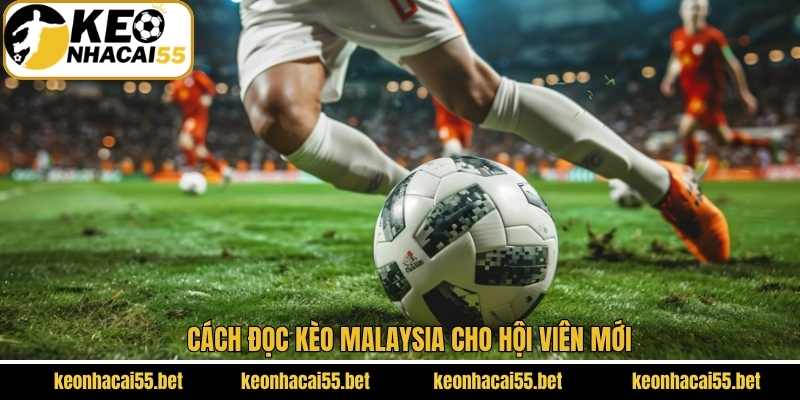 Kèo Malaysia - Cách Đọc Cơ Bản Và Mẹo Cá Cược Từ Cao Thủ 3 Cách đọc kèo Malaysia cho hội viên mới