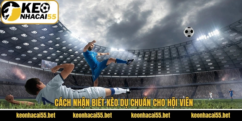 Kèo Dụ - Cách Nhận Biết Và Tránh Hiệu Quả Cho Hội Viên 3 Cách để nhận biết kèo bẫy chuẩn nhất