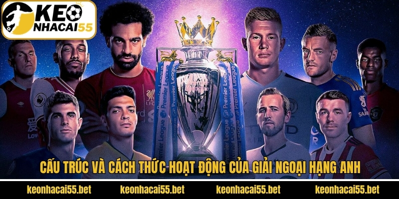 Điển hình cơ cấu và cách thức hoạt động của Premier League