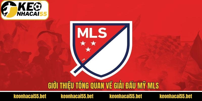 Mỹ MLS - Giải Bóng Đá Nổi Tiếng Hàng Đầu Tại Hoa Kỳ 2 Đôi nét về đấu trường bóng đá nổi tiếng ở Hoa Kỳ