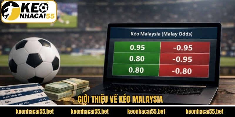Kèo Malaysia - Cách Đọc Cơ Bản Và Mẹo Cá Cược Từ Cao Thủ 2 Khám phá chi tiết về kèo Malaysia
