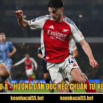 Kèo Châu Á - Hướng Dẫn Đọc Kèo Chuẩn Từ Keonhacai