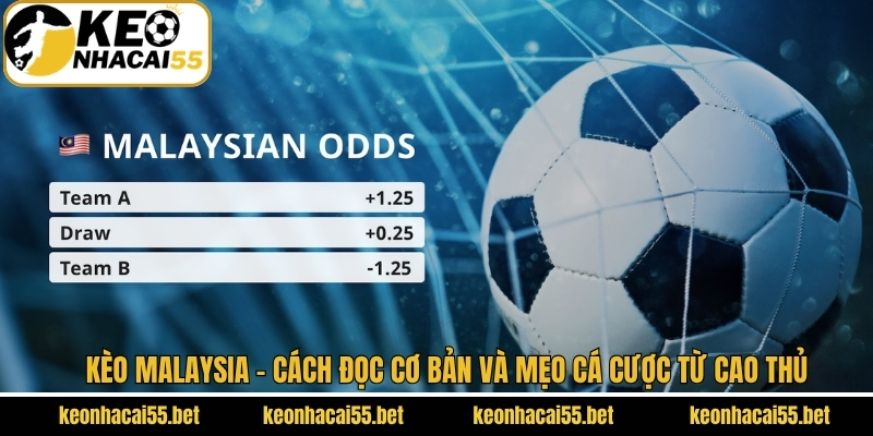 Kèo Malaysia - Cách Đọc Cơ Bản Và Mẹo Cá Cược Từ Cao Thủ 1 Kèo Malaysia - Cách Đọc Cơ Bản Và Mẹo Cá Cược Từ Cao Thủ