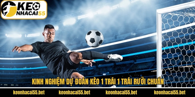 Kèo 1 Trái 1 Trái Rưỡi Là Gì? Bật Mí Kinh Nghiệm Hay 4 Chia sẻ bí quyết phân tích cược 1-1.5