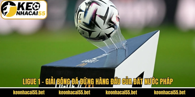 Ligue 1 - Giải Bóng Đá Đứng Hàng Đầu Của Đất Nước Pháp 1 Ligue 1 - Giải Bóng Đá Đứng Hàng Đầu Của Đất Nước Pháp