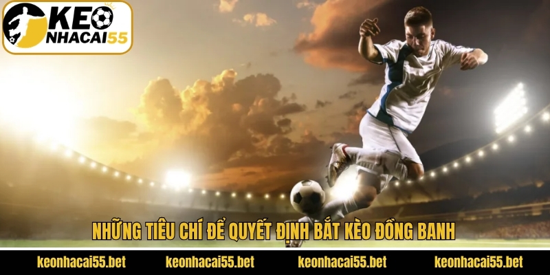 Các tiêu chí khi quyết định về việc bắt kèo chính xác
