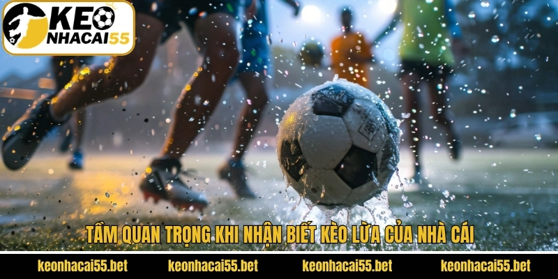 Ý nghĩa khi biết cách nhận diện bẫy nhà cái