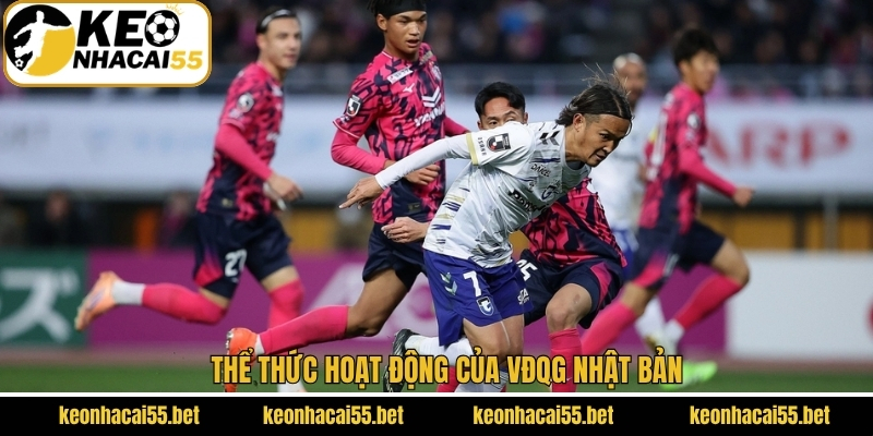 Thể thức hoạt động của VĐQG Nhật Bản