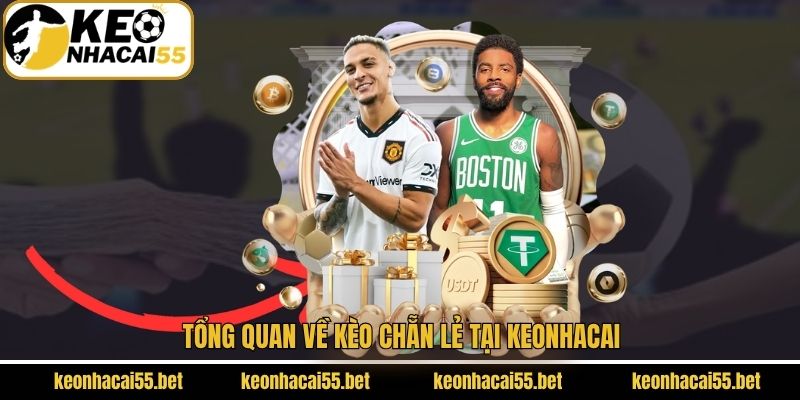 Kèo Chẵn Lẻ - Chia Sẻ Bí Kíp Soi Kèo Tối Ưu Chiến Thắng 2 Nét chính về sức hút của dự đoán chẵn lẻ