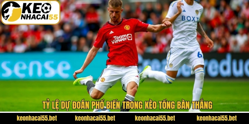 Tỷ lệ dự đoán phổ biến trong kèo tổng bàn thắng