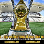 VĐQG Brazil – Đấu Trường Bóng Đá Kịch Tính Top 1 Nam Mỹ 5 VĐQG Brazil – Đấu Trường Bóng Đá Kịch Tính Top 1 Nam Mỹ