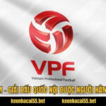 VĐQG Việt Nam - Giải Đấu Quốc Nội Được Người Hâm Mộ Quan Tâm 5 VĐQG Việt Nam - Giải Đấu Quốc Nội Được Người Hâm Mộ Quan Tâm