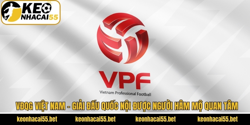 VĐQG Việt Nam - Giải Đấu Quốc Nội Được Người Hâm Mộ Quan Tâm 1 VĐQG Việt Nam - Giải Đấu Quốc Nội Được Người Hâm Mộ Quan Tâm